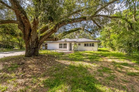 Photo of 4212 Harry Drive, Fruitland Park, FL 34731 (MLS # S5130471) Photo of 4212 Harry Drive, Fruitland Park, FL 34731 (MLS # S5130471)