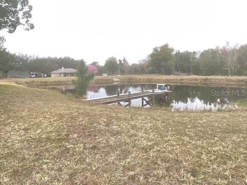 Tiny photo for 32420 County Road 473, Leesburg, FL 34788 (MLS # G5111644)