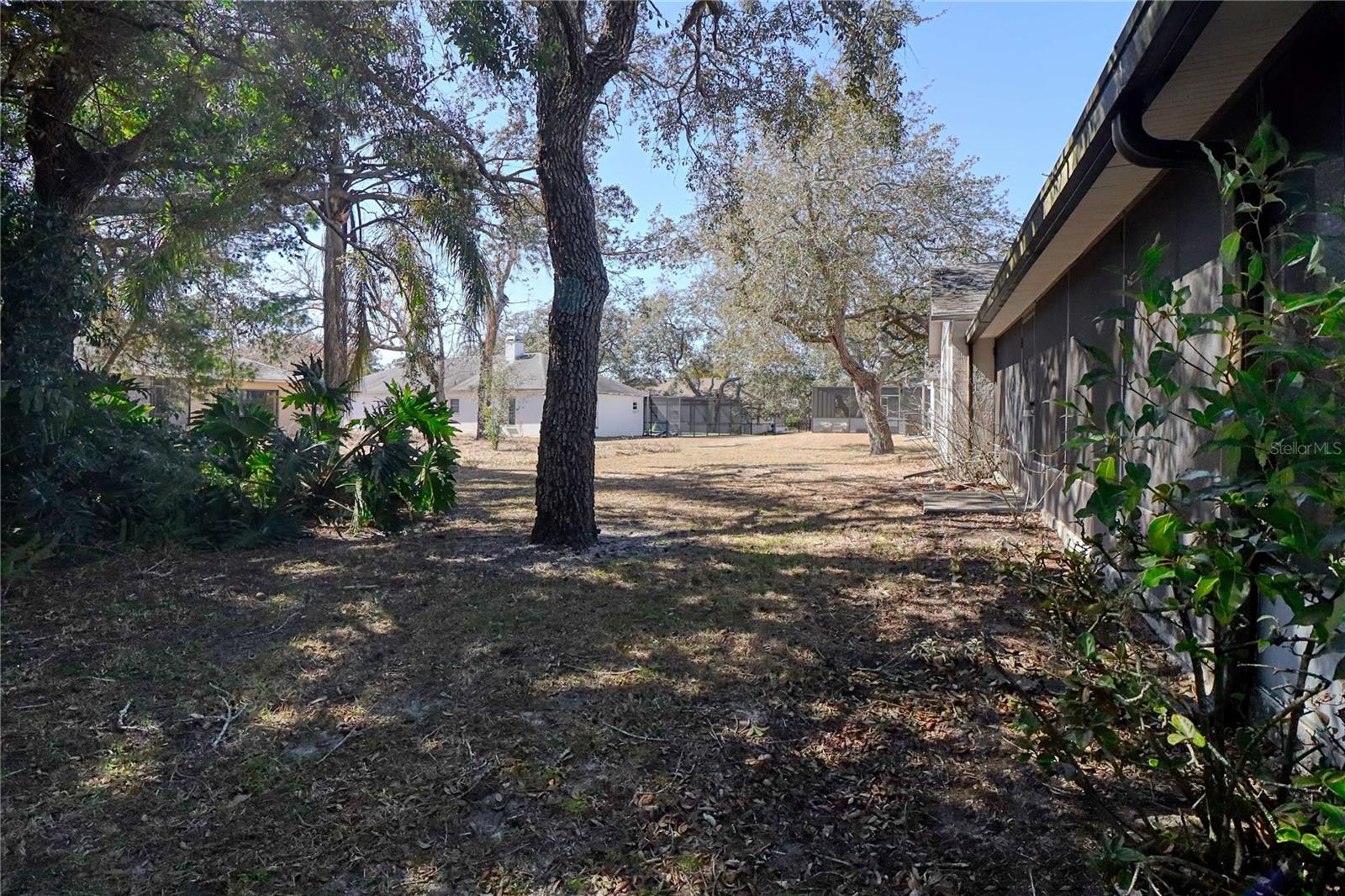 REGENCY OAKS - Residential