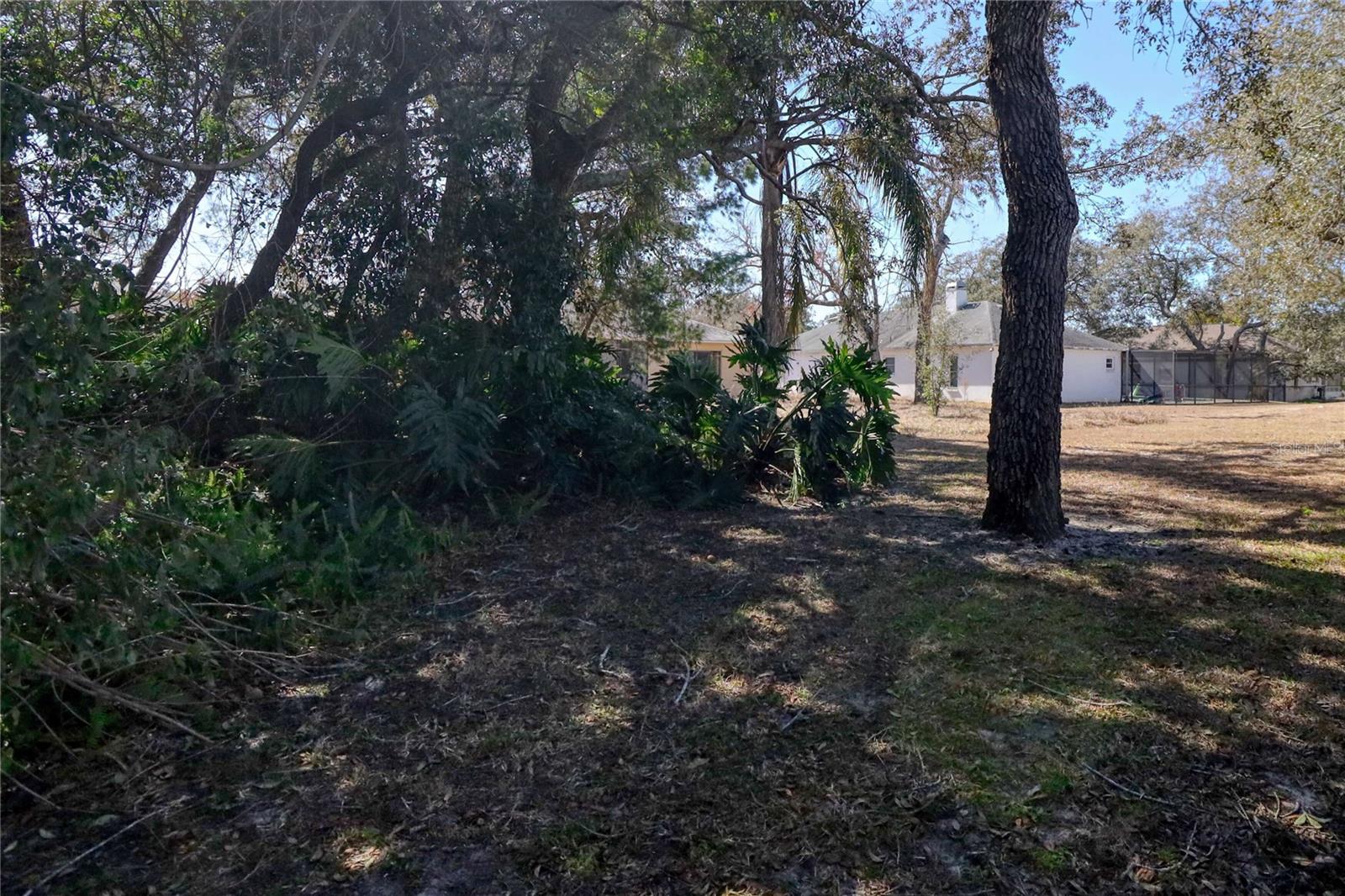 REGENCY OAKS - Residential