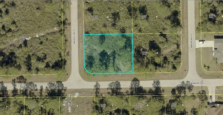 A VACANT LOT IN LEHIGH ACRES IN LEE COUNTY!!!