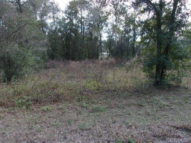 Nice lot in the Inverness Highlands West. Lot has been partially cleared and also has some trees. Great location, Holden Park minutes from downtown Inverness where there are many restaurants, a few major grocery stores, access to boat ramps for the Tsala Apopka Lakes and also the Withlacoochee River. There are a couple parks in Inverness--Liberty Park and Whispering Pines Park. This lot is a great location for easy access to all of this.