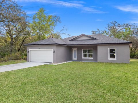 Photo of 110 Guava Place Drive, Ocklawaha, FL 32179 (MLS # O6394786)