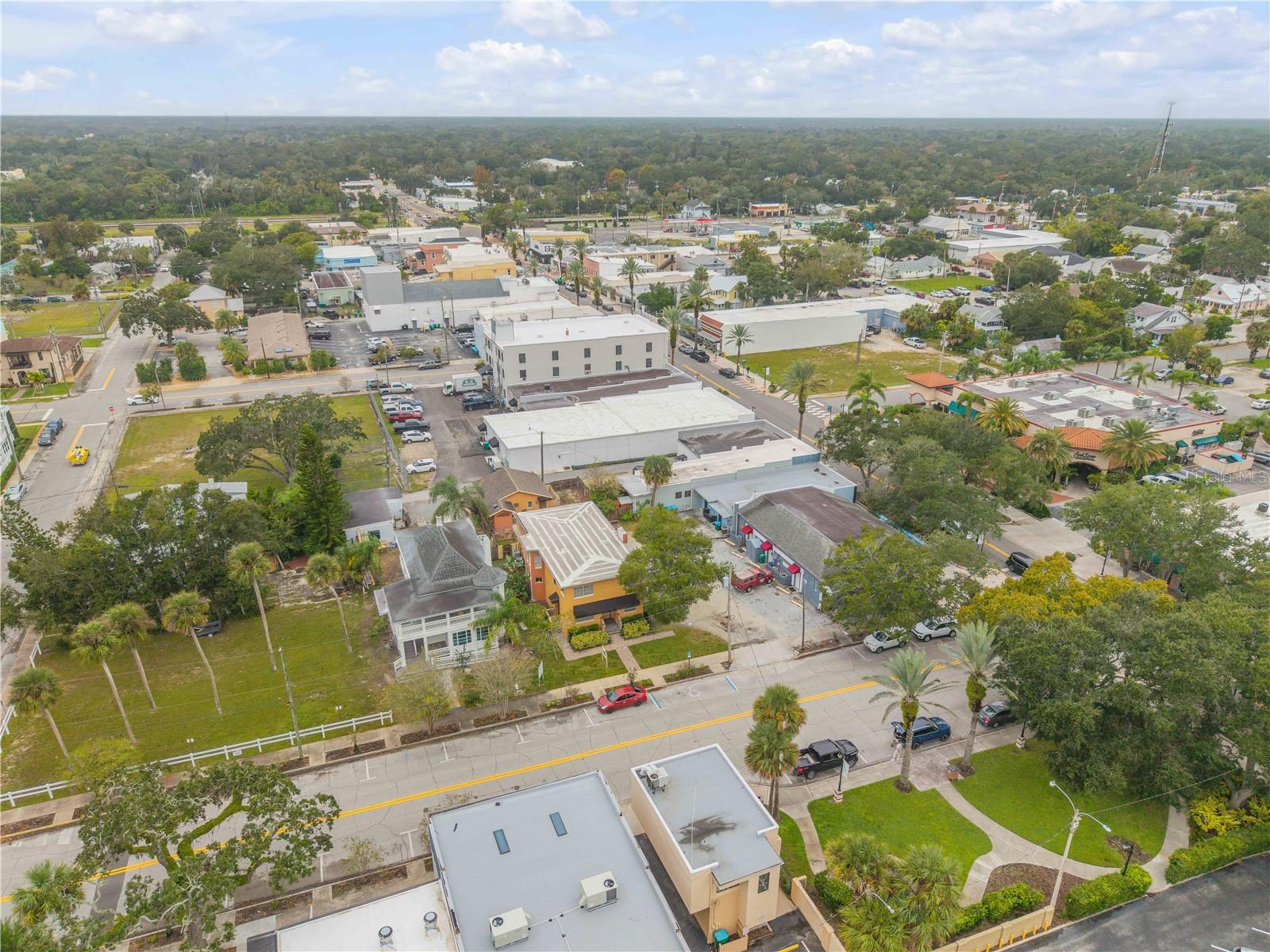 ANDREWS PROP NEW SMYRNA - Residential