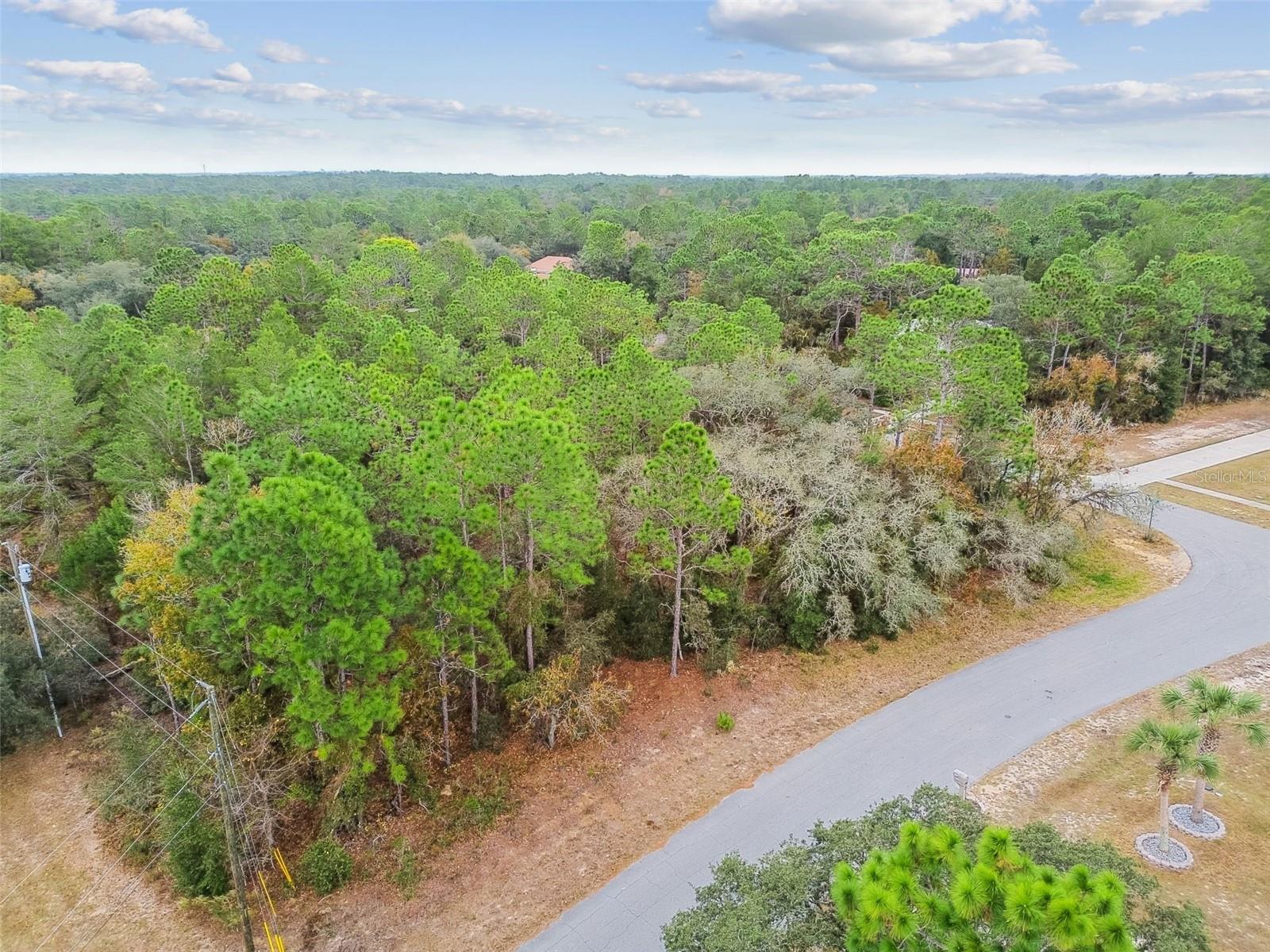 PINE RIDGE UNIT 03 - Land