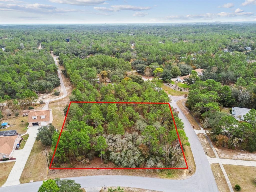 Photo of 3435 W Danny Court, Beverly Hills, FL 34465 (MLS # O6364548)