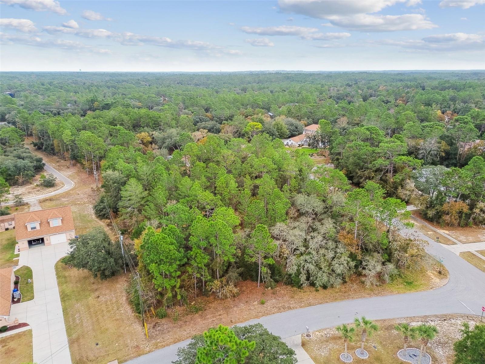 PINE RIDGE UNIT 03 - Land