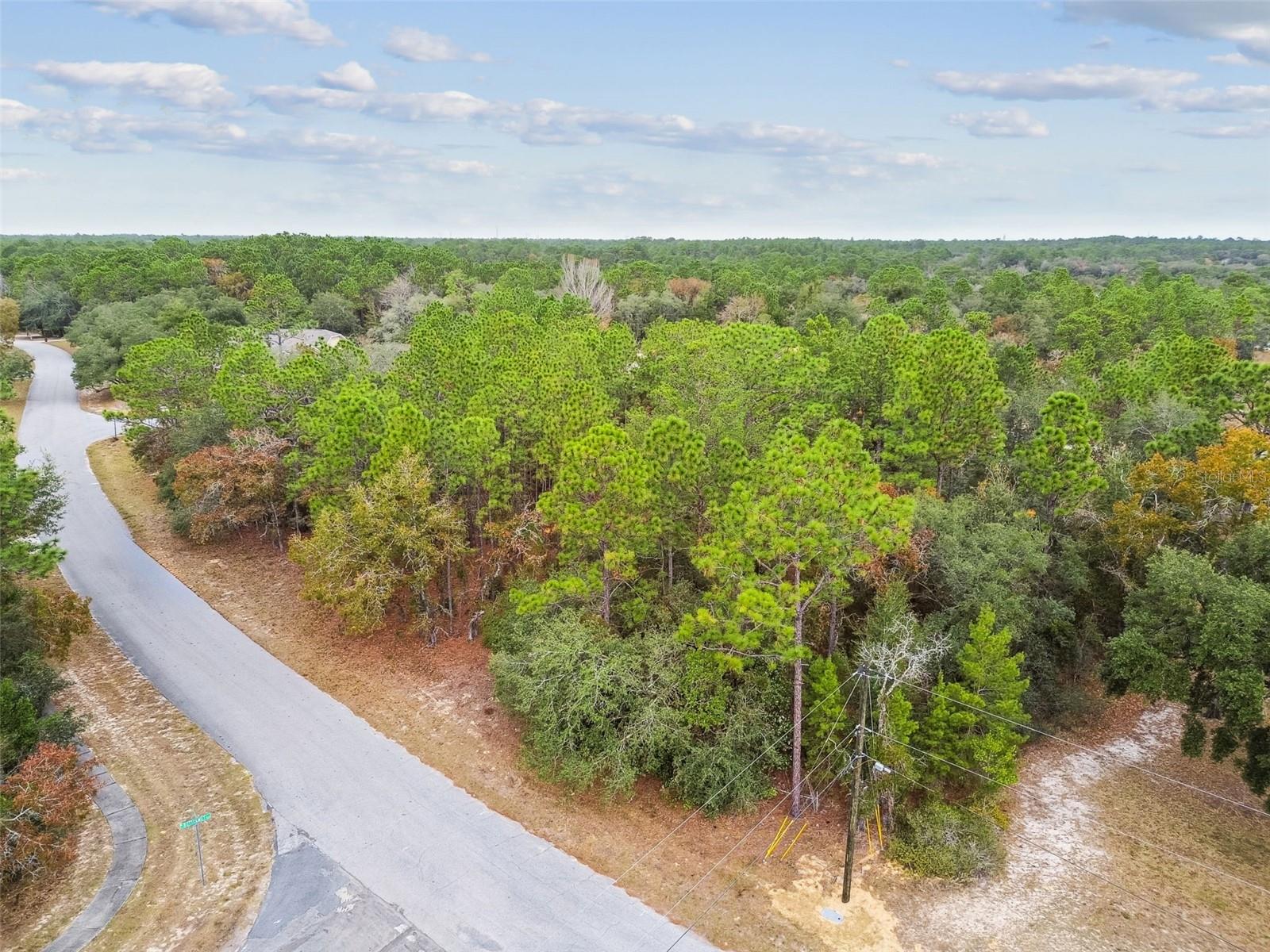 PINE RIDGE UNIT 03 - Land