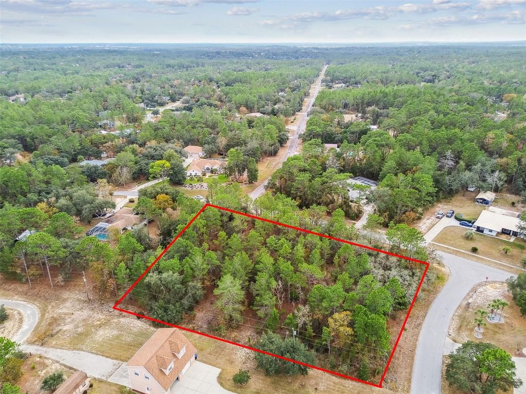 Photo of 3435 W Danny Court, Beverly Hills, FL 34465 (MLS # O6364548)