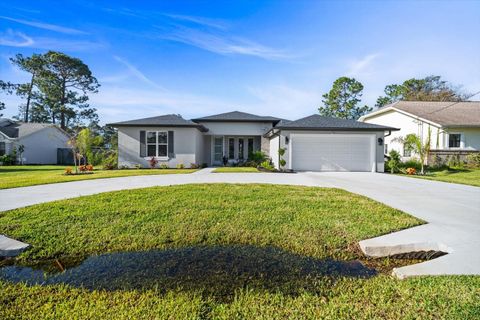 A home in PALM COAST