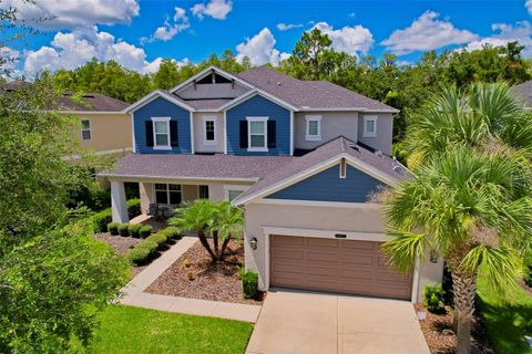 A home in LAND O LAKES