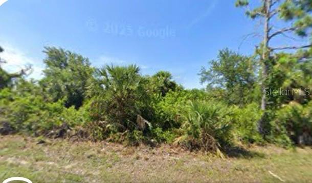14176 S BEND AVENUE, PORT CHARLOTTE, FL, 33981 1 14176 S BEND AVENUE