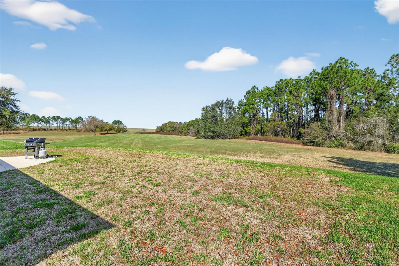 ROYAL HIGHLANDS PH 02 LT 992 ORB 1976 PG 173 - Residential