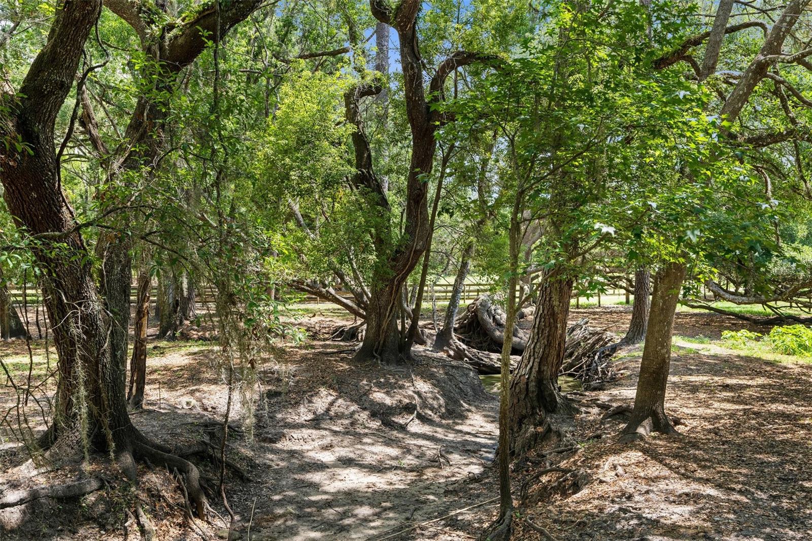 ACERAGE - Residential