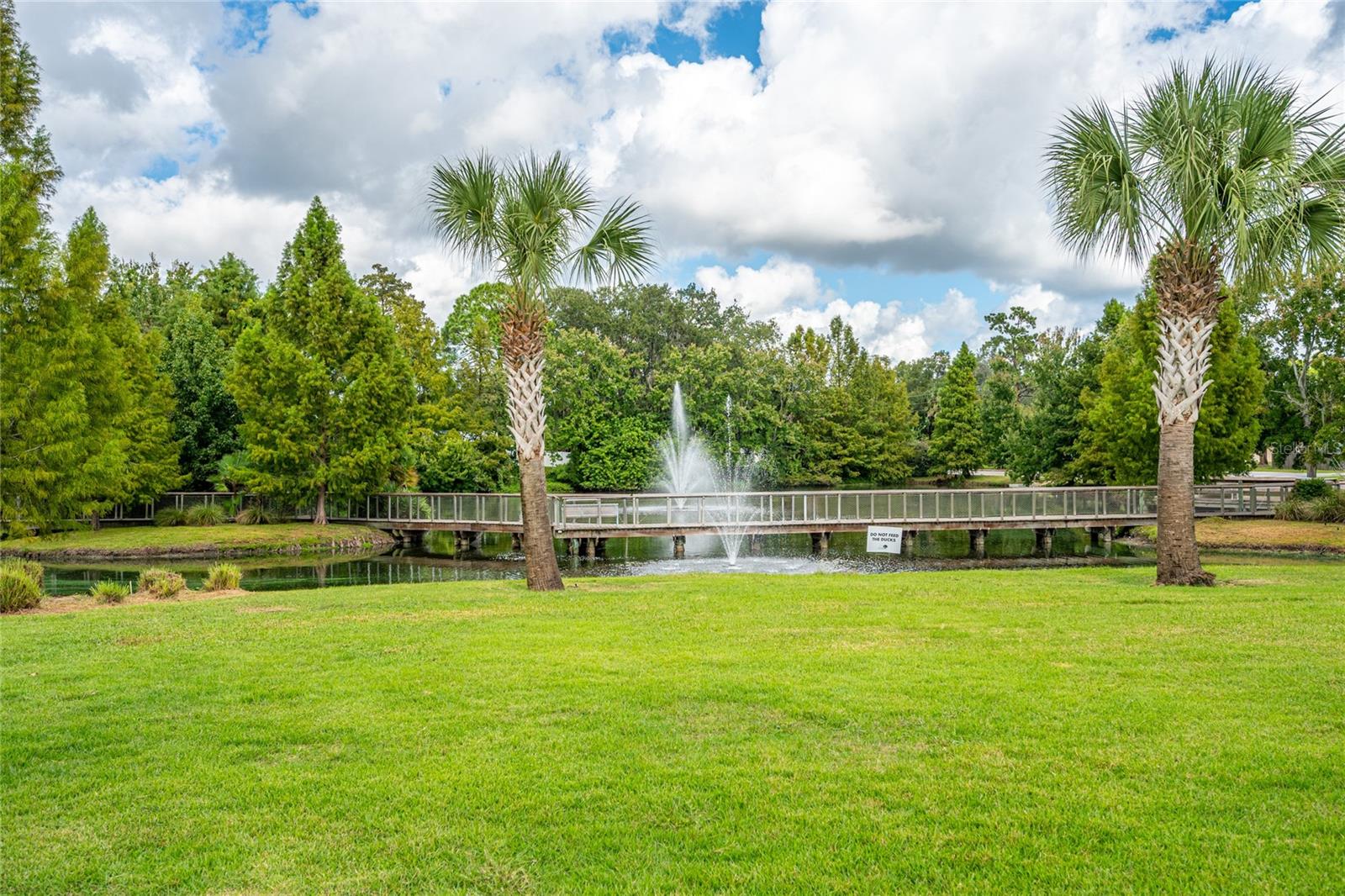 LONGWOOD - Residential