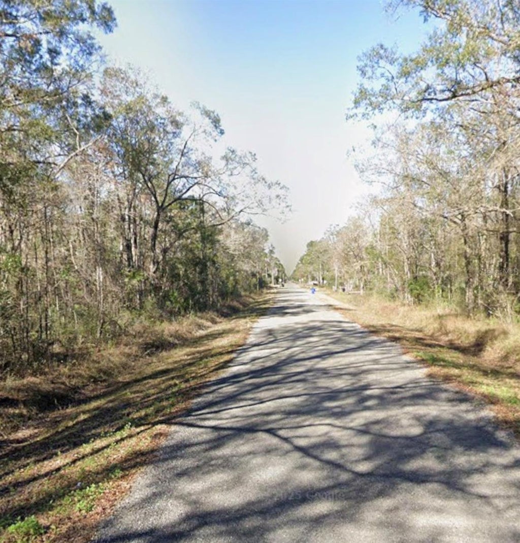 Photo of 10045 Mcmahon Avenue, Hastings, FL 32145 (MLS # A4699134)