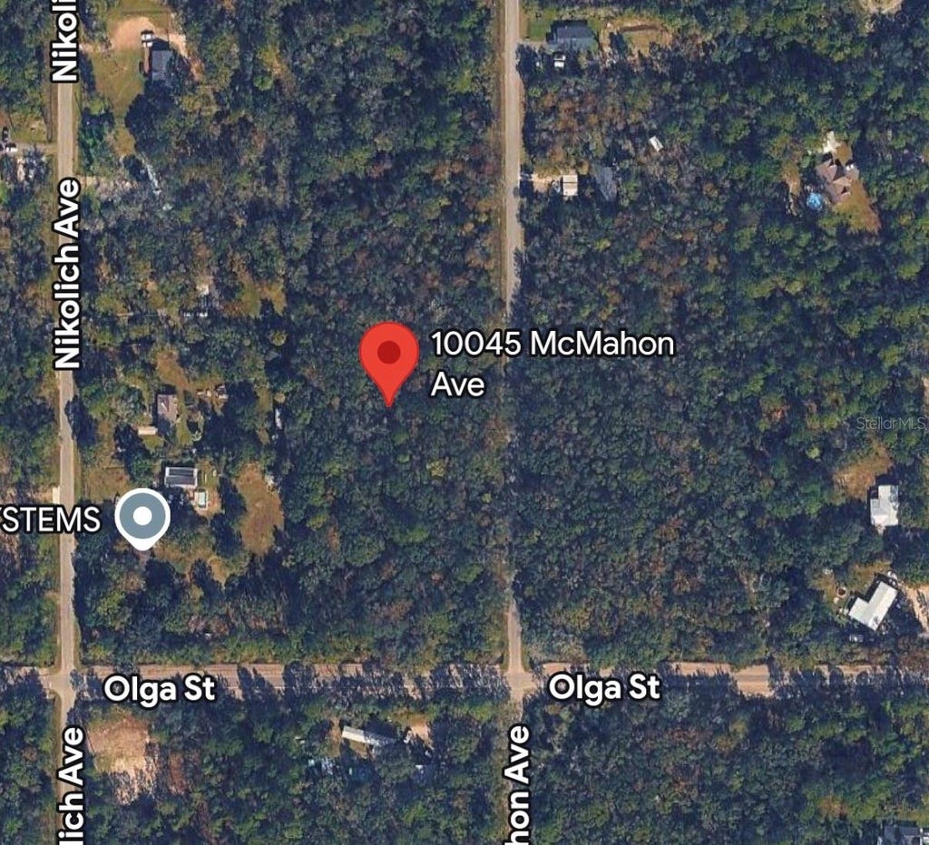 Photo of 10045 Mcmahon Avenue, Hastings, FL 32145 (MLS # A4699134)