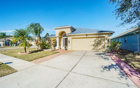 A home in LAND O LAKES