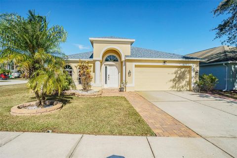 A home in LAND O LAKES