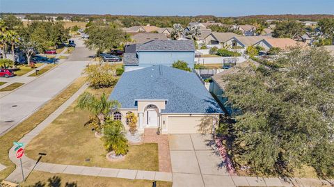 A home in LAND O LAKES