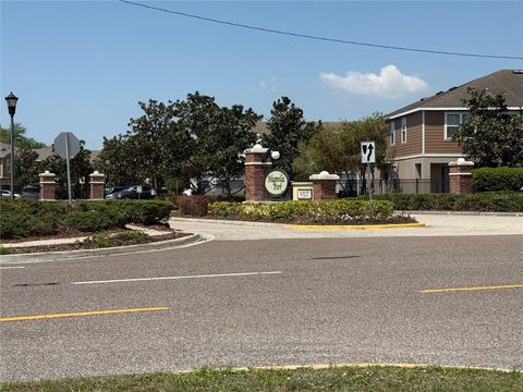 8827 TURNSTONE HAVEN PLACE TAMPA FL 33619