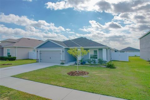 A home in POLK CITY