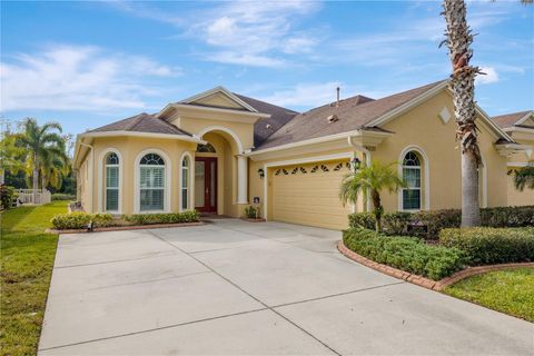 A home in LAND O LAKES