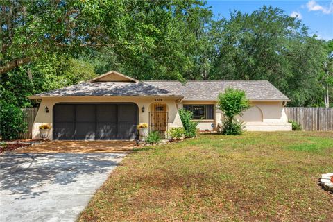 8309 PEBBLE STREET SPRING HILL FL 34608