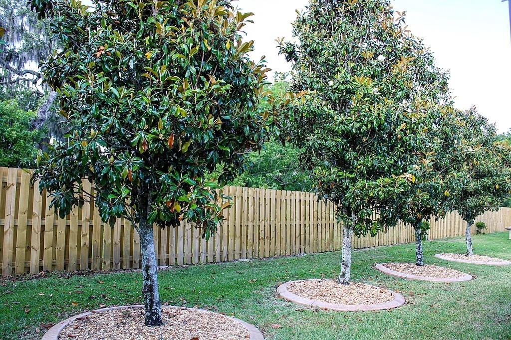 SPRUCE CRK GC - Residential Lease