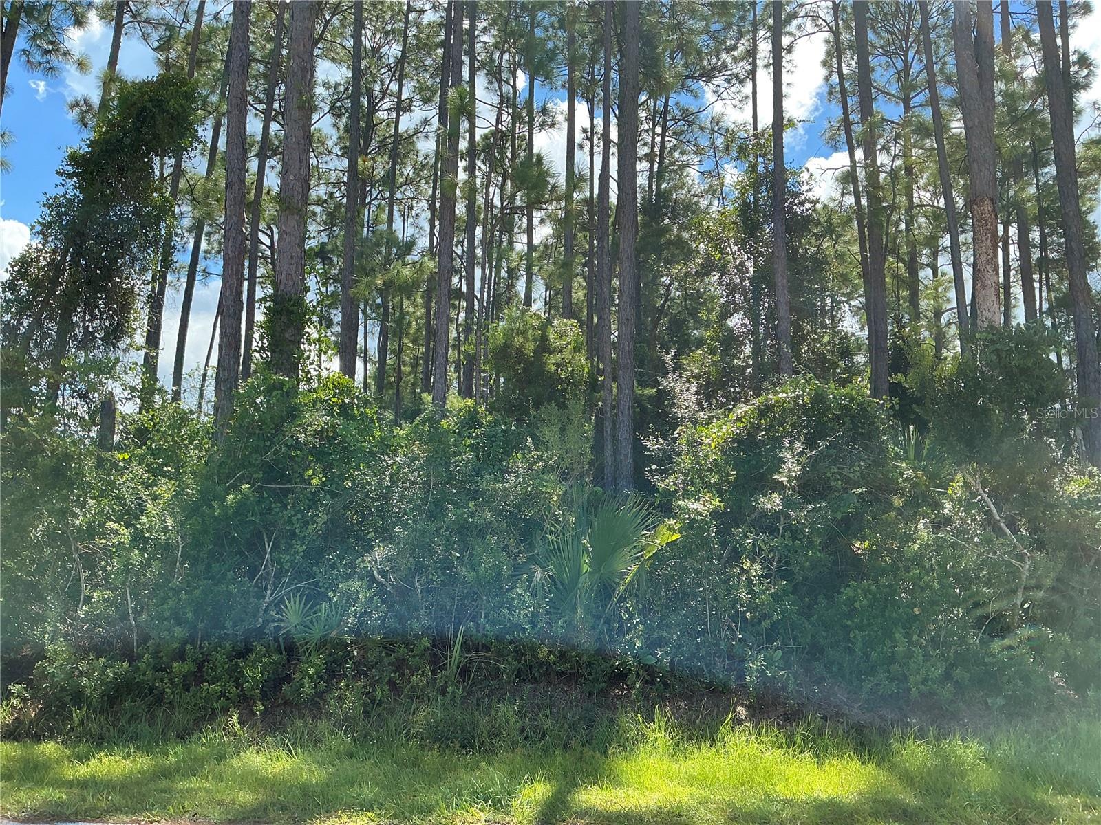 PALM COAST SEC 09 - Land