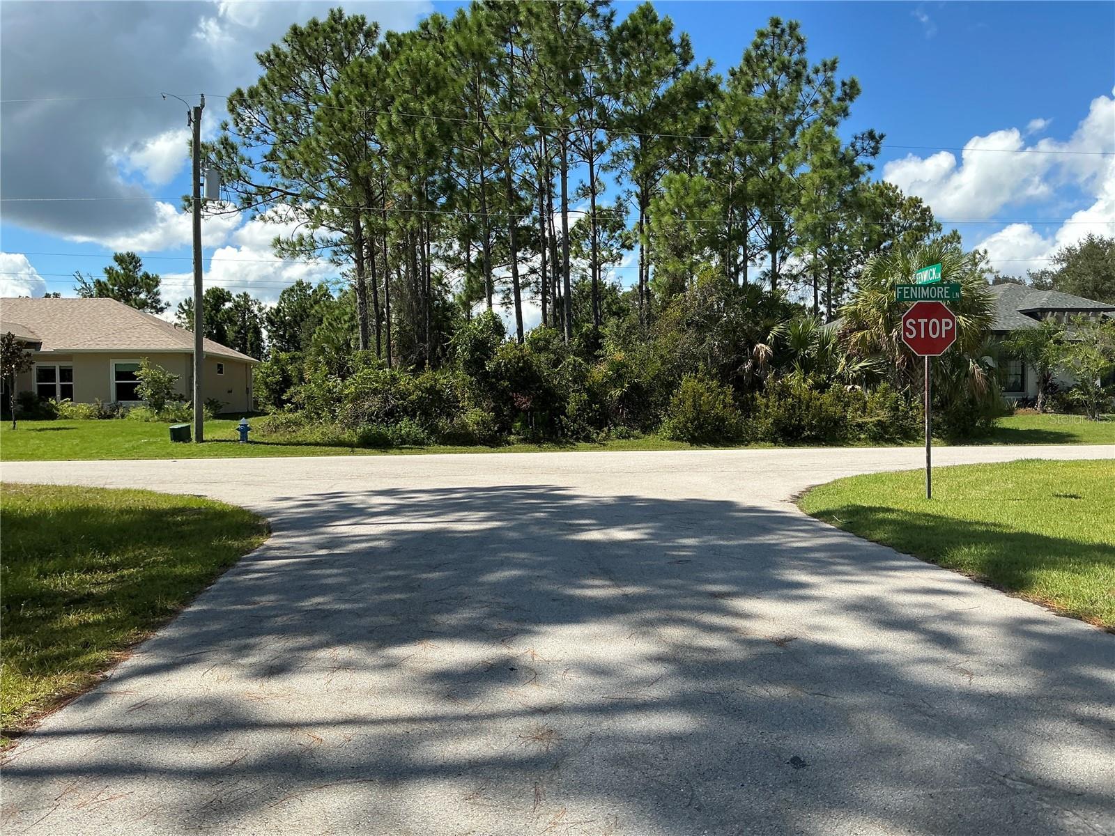 PALM COAST SEC 09 - Land