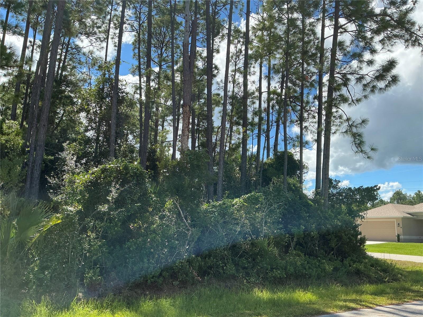 PALM COAST SEC 09 - Land