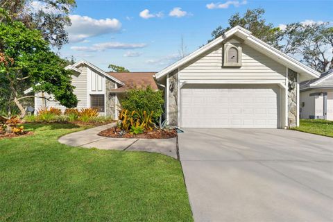 A home in PALM HARBOR