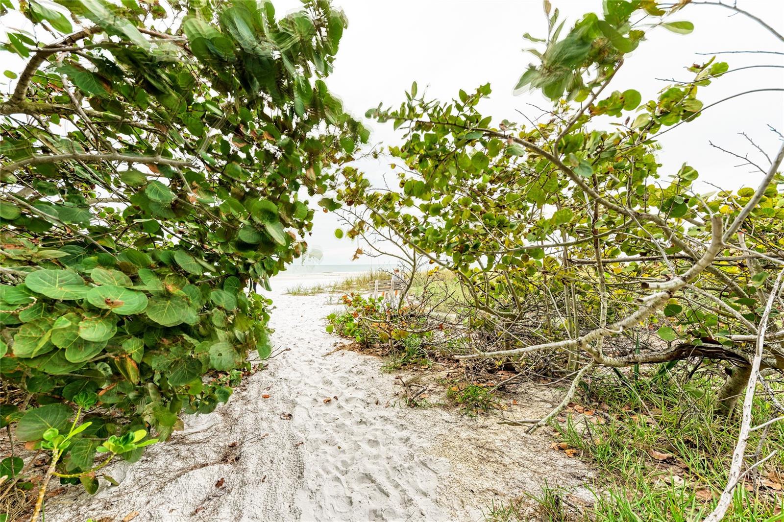 ANNA MARIA BEACH - Residential