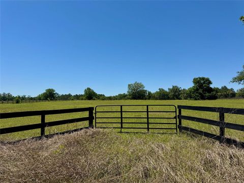 Tiny photo for 21 NW 115 Avenue, Ocala, FL 34482 (MLS # OM699739)