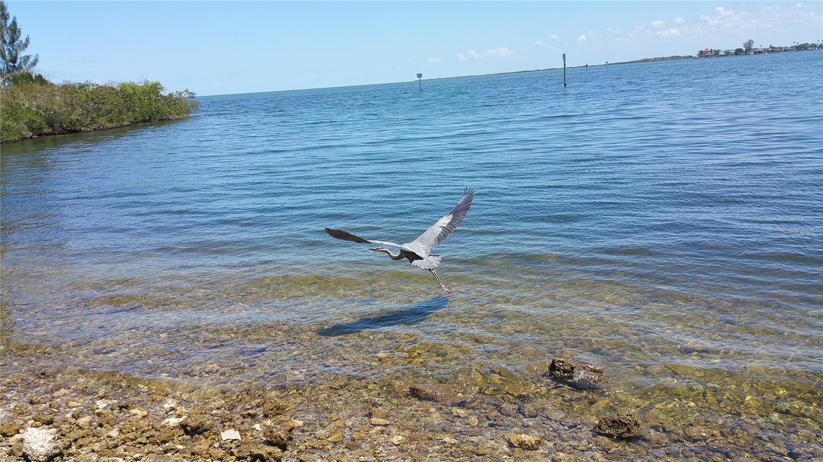 GULF ISLAND BEACH TENNIS - Residential Lease