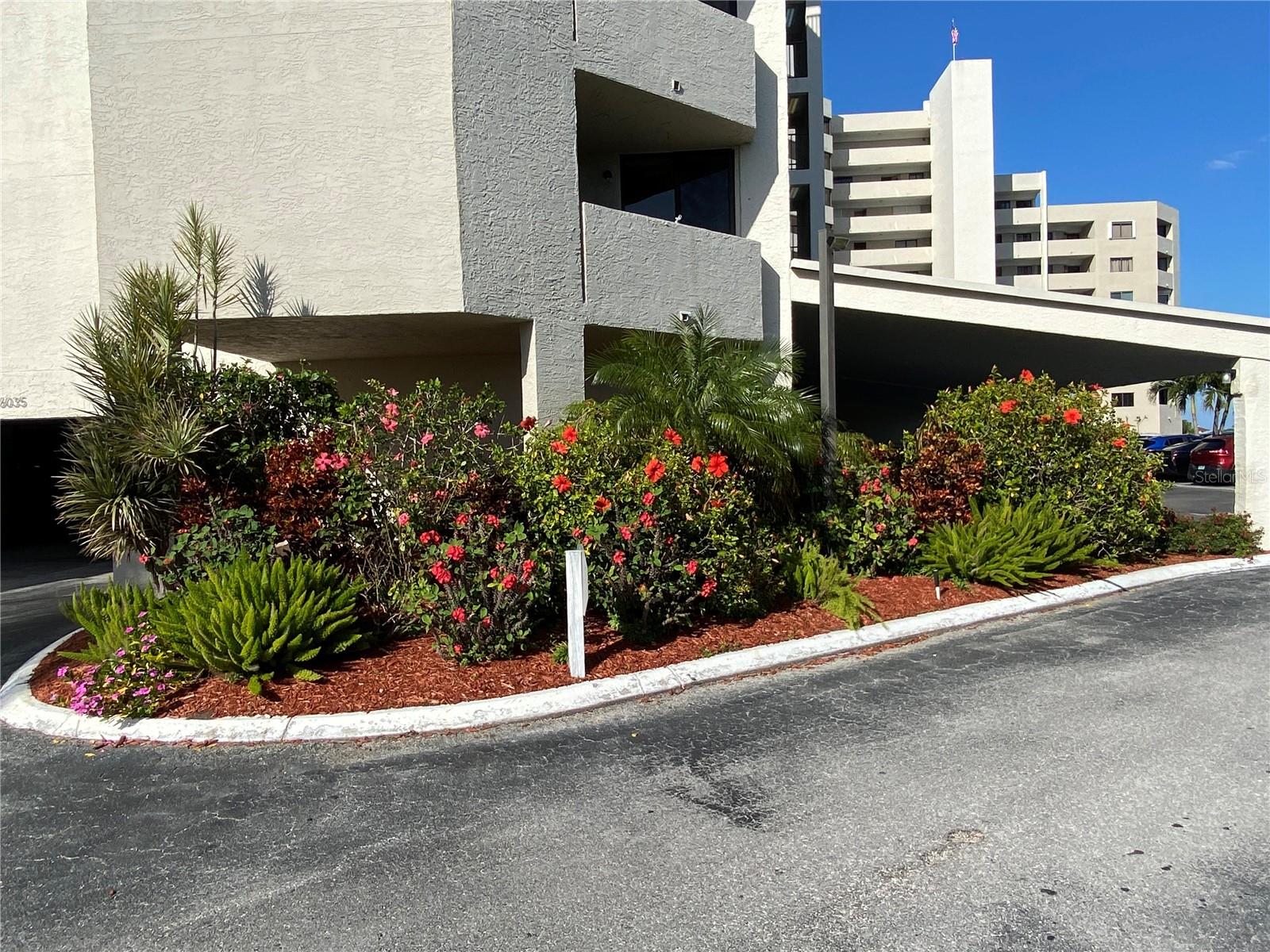 GULF ISLAND BEACH TENNIS - Residential Lease