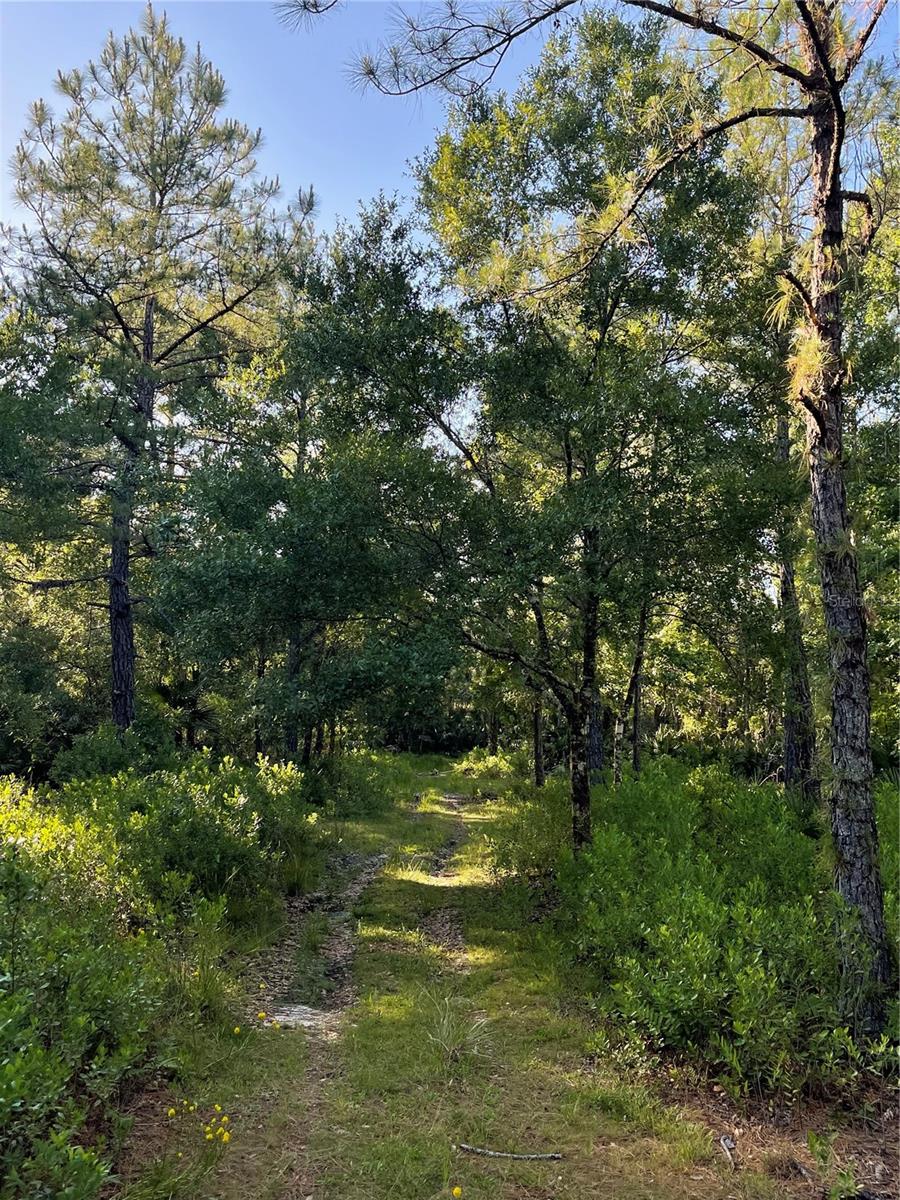 INDIAN RIVER PARK - Land