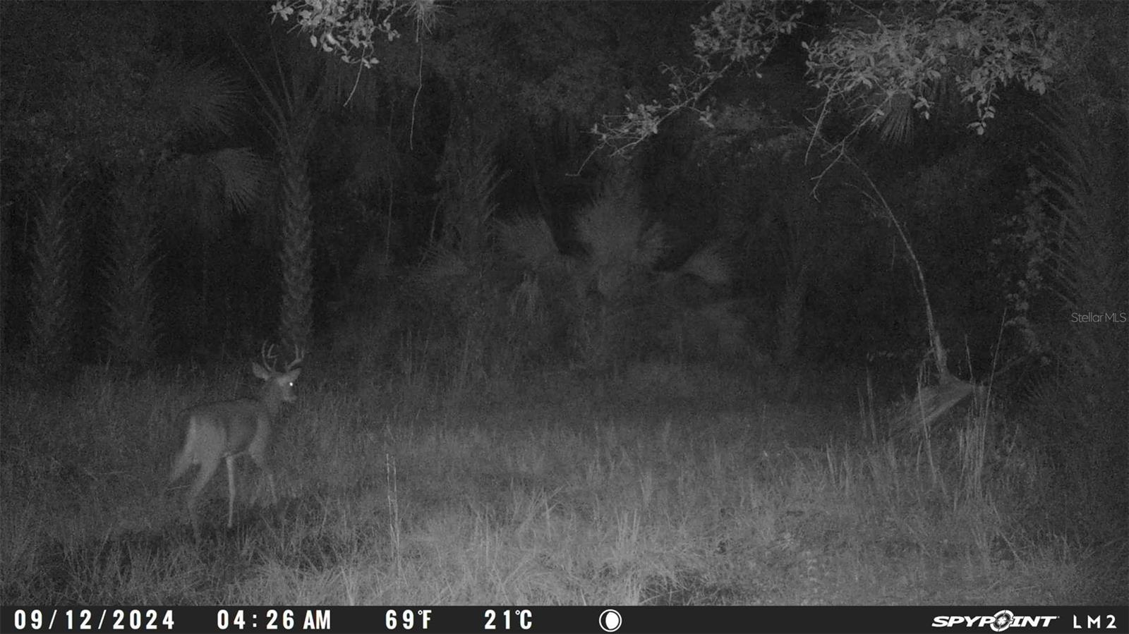 INDIAN RIVER PARK - Land