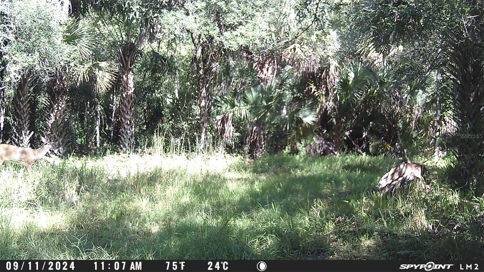 INDIAN RIVER PARK - Land