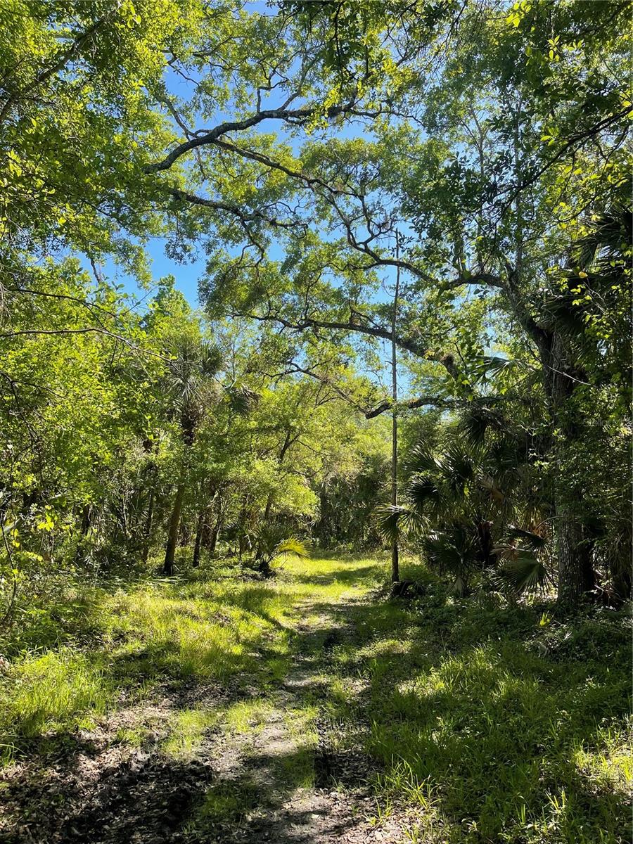 INDIAN RIVER PARK - Land