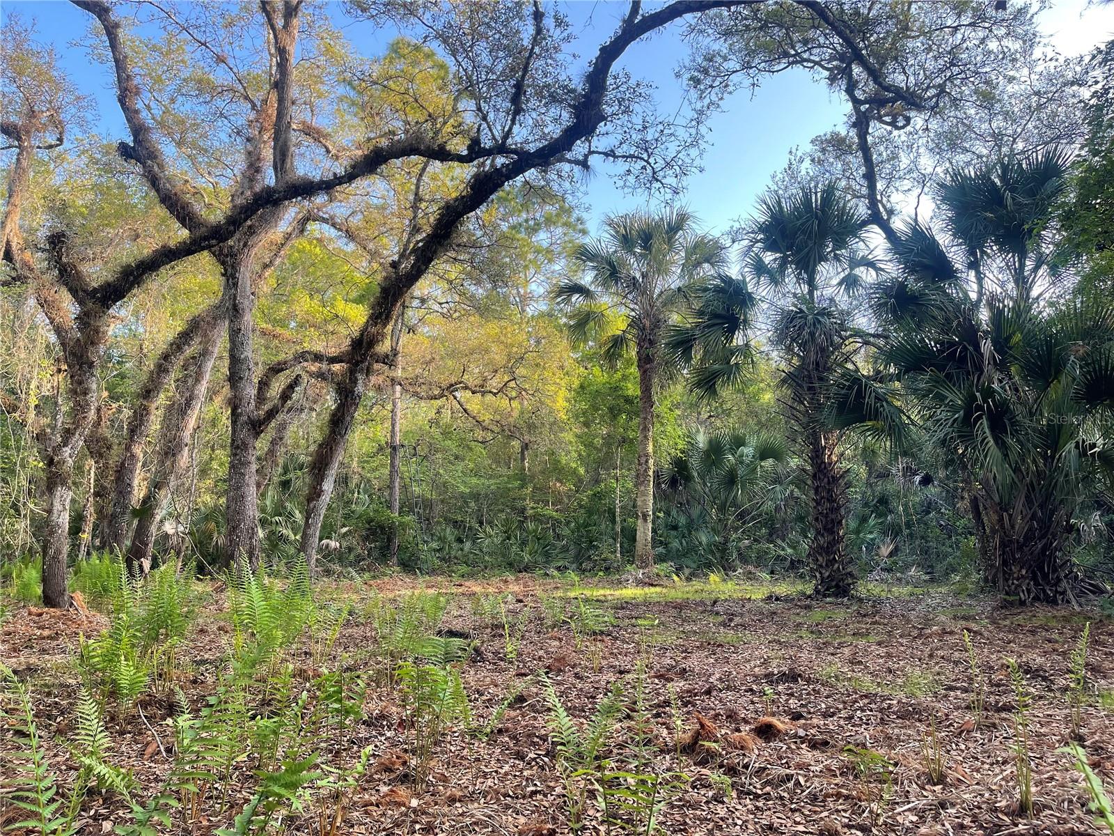 INDIAN RIVER PARK - Land