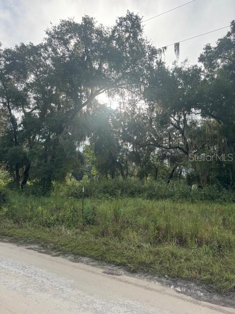 SUNNYSIDE BEACH - Land