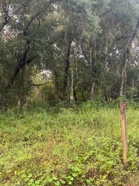 SUNNYSIDE BEACH - Land