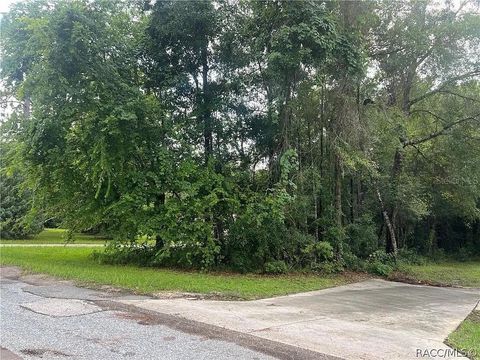 178 S SCHOOL AVENUE LECANTO FL 34461