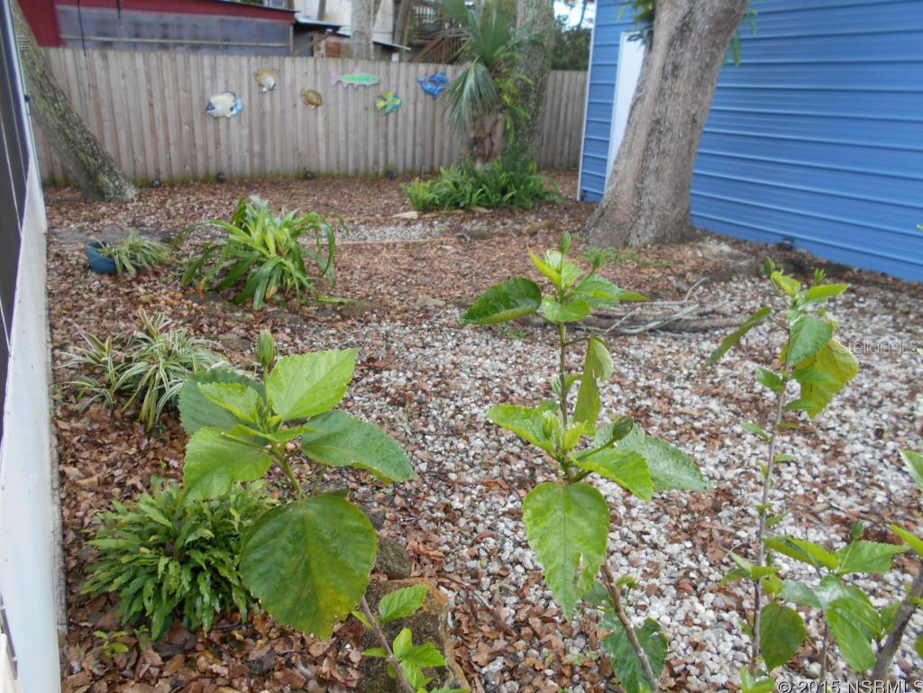 Smiths D P New Smyrna - Residential