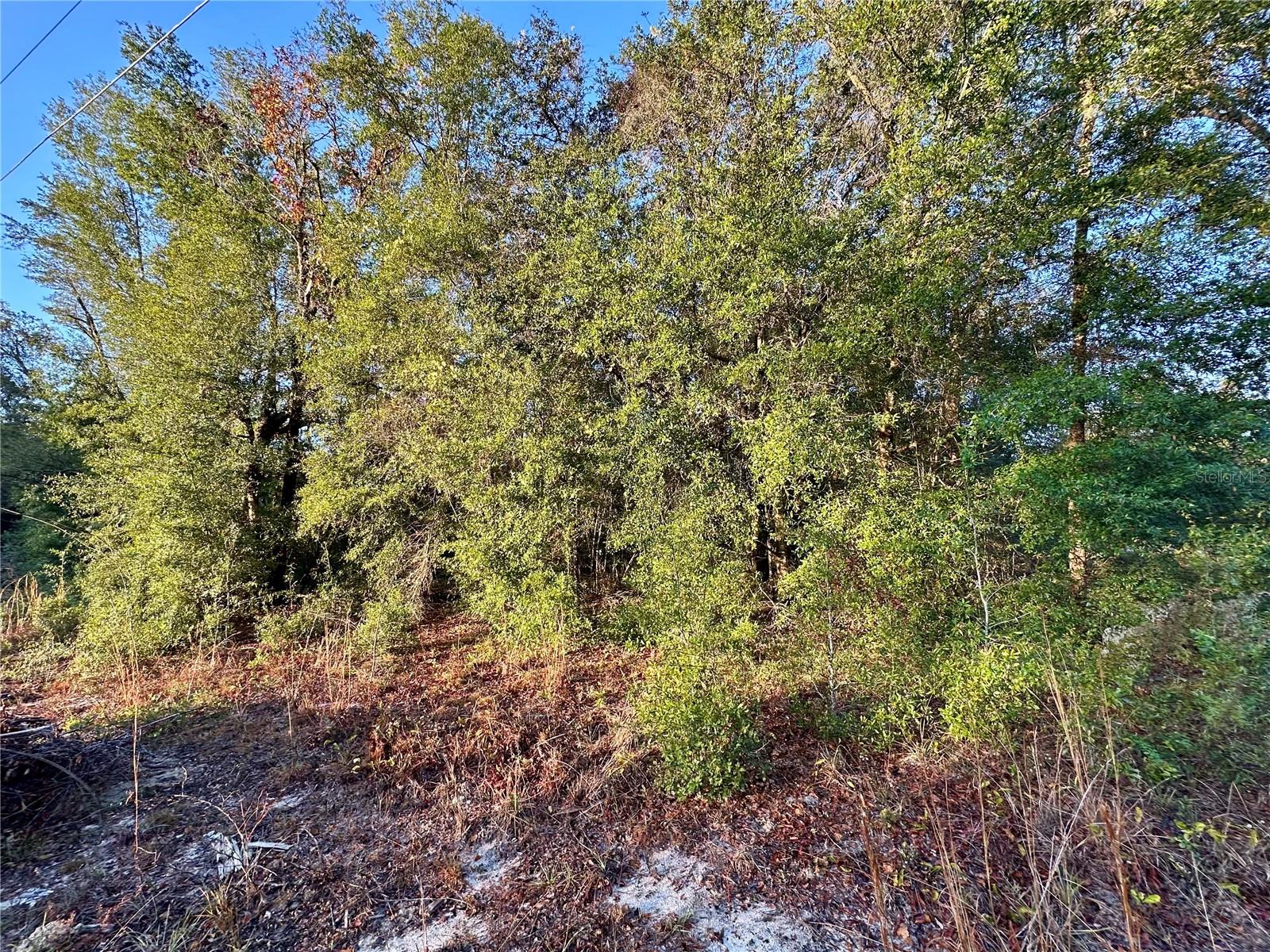 OCALA RDG UN 11 - Land