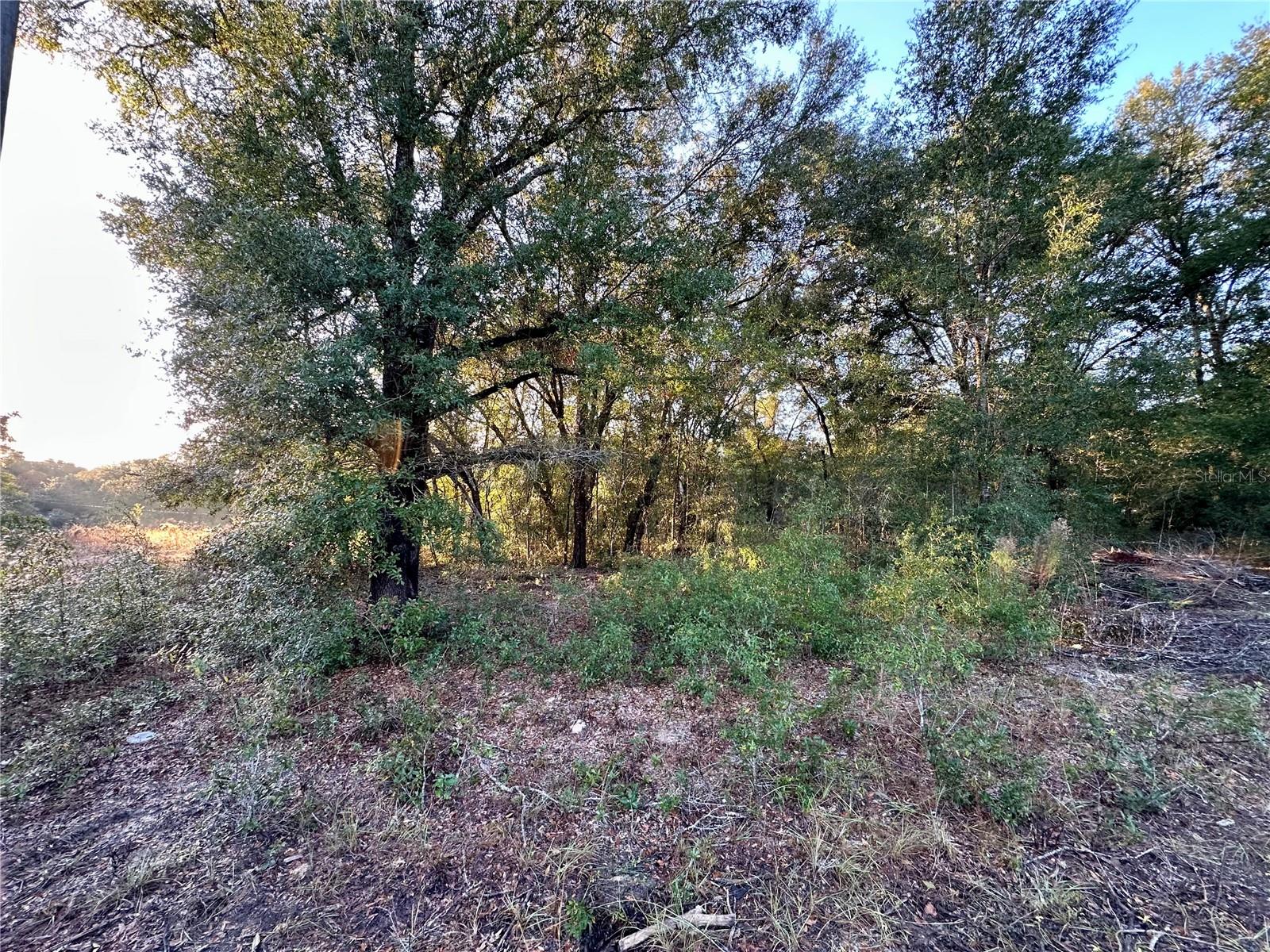 OCALA RDG UN 11 - Land