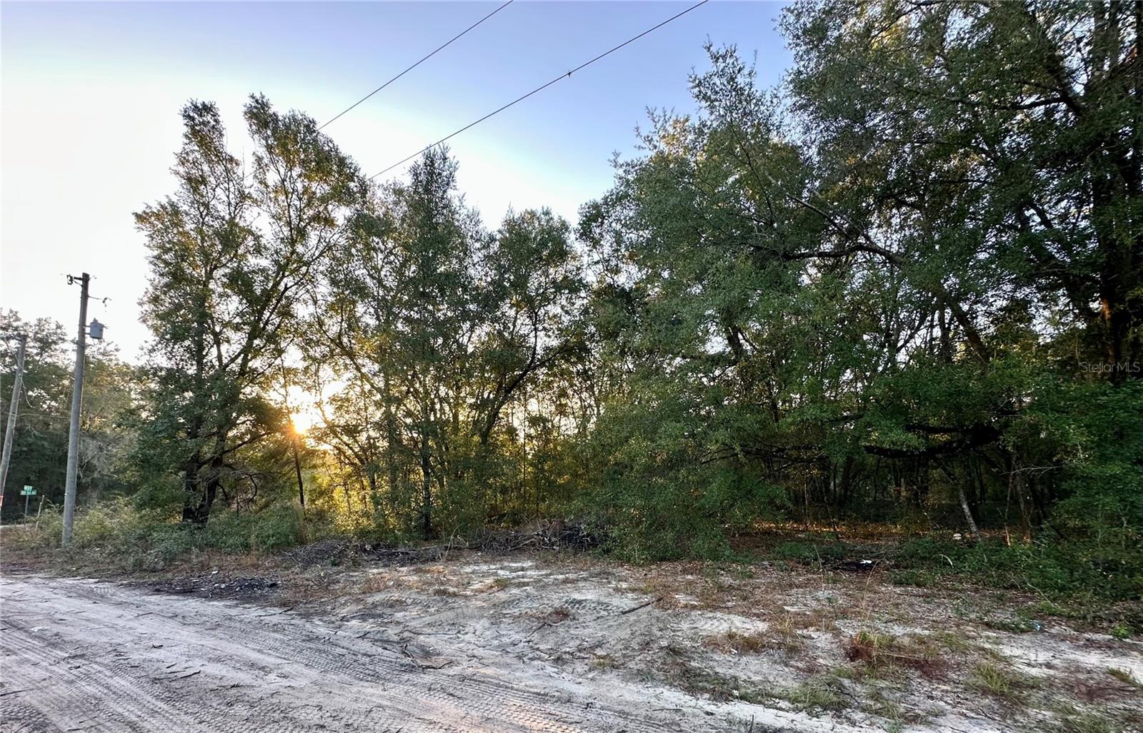 OCALA RDG UN 11 - Land