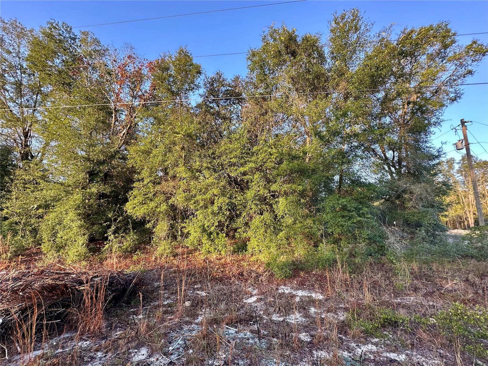 OCALA RDG UN 11 - Land